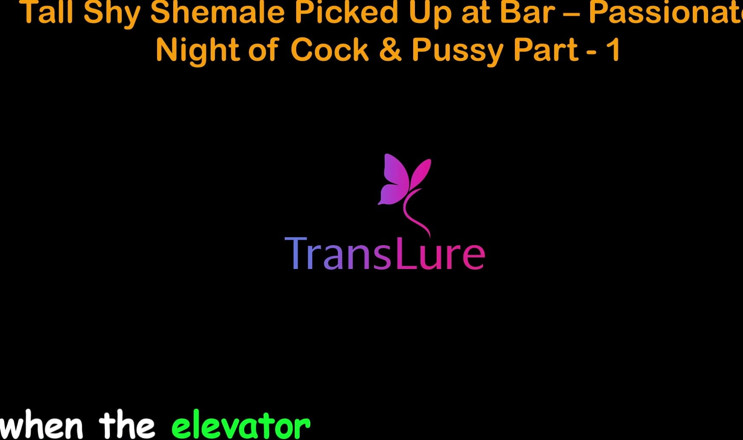 TransLure: English Audio Sex Story - Tall Shy Shemale Picked up at...