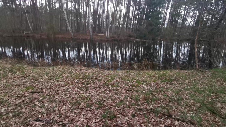 Bouncy Tits Action: Elle se fait fesser le cul nu dans la forêt
