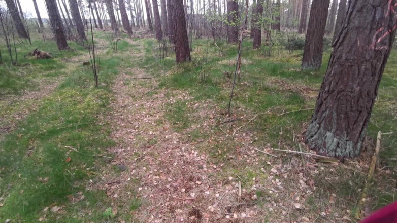 Bouncy Tits Action: Жесткое давка сисек