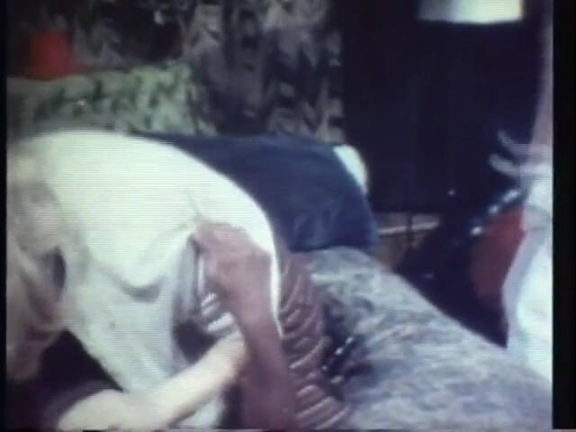 Vintage Usa: The History of Porn - vol. 38  -  (Vintage XXX Tales)