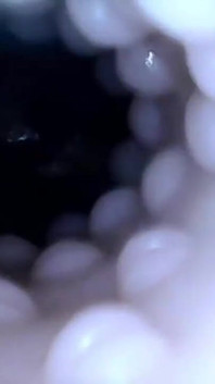 Internal closeup fucktoy