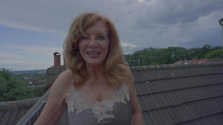 Fun Picture: 豚 豚豚 豚