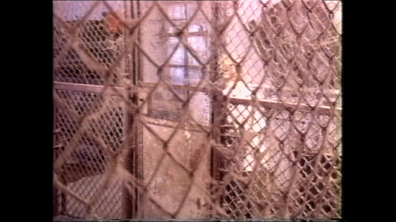 Full Movie XXX: As Camponesas Peludas