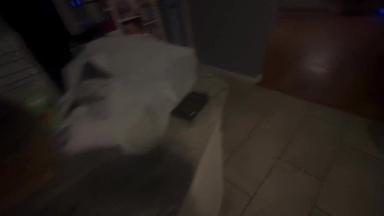DwellingDickins: Stepson Takes MILF Stepmom