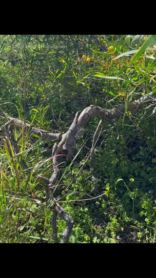 Dilf_X_Berg_XL: 本周 - 爸爸的户外探险 - 合辑卷。