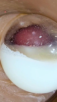 내 안에 사정하고 반복해서! 질싸 콘돔 POV 안에 카메라