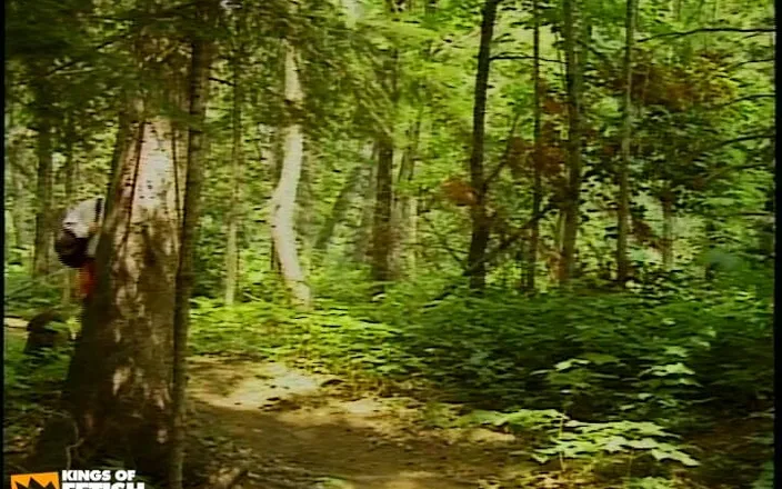 Gay Diaries: Four Twinks Have Intense Anal Sex in the Forest While...