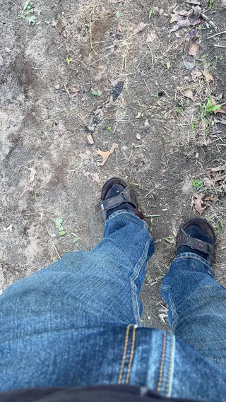 Dirty Gardener: Lets Garden