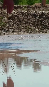 Bagno di fango in una fossa di sabbia con fango profondo, cremoso e marrone.