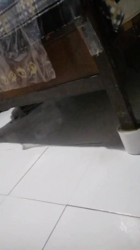 Vieja Chancluda