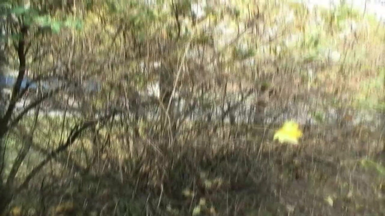 XXXEROTICONLY: 少年在公园里做爱并在嘴里喷水