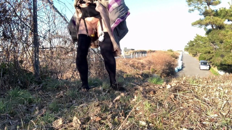 megu2002: Instruire independentă nr. 82 ascuns pe marginea drumului cu taxă