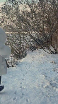 Futai rapid în aer liber pe zăpadă într-o haină de blană albă ca Zăpada