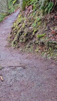 Hike-n-piss an Einem Regentag