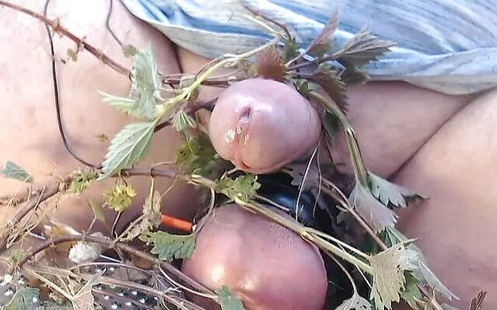 Gaylectrician: Fun with nettles