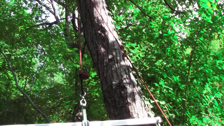 Fetish Bear : Male Mode: Un joven sádico azota a un cerdo viejo atado en...