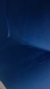 Fat Ass in Leggings