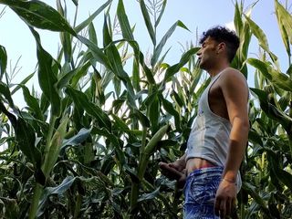 Idmir Sugary: Літній дрочить на кукурудзяному полі - смикаючи, кінчаючи на члені