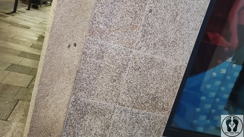 All You Can Fetish: Riskli tüm binamda çıplak yürüyor dışarıda çişini yapıyor