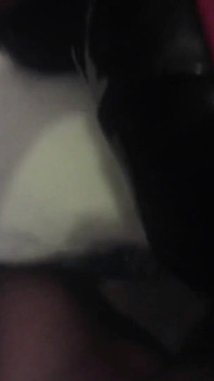 Laura hogtied and hooded with a lip open mouth gag has her throat fucked for 15 minutes