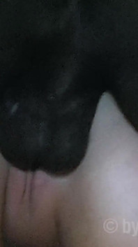 Cocks lick for pleasure
