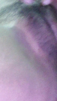 Sexy Video