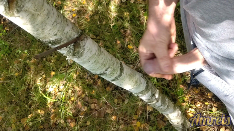 Amreis: Melancap di dalam hutan berhampiran lebuh raya. Saya hampir ditangkap!