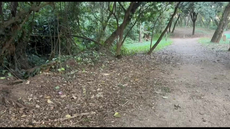 Lidi Ferrari: Vzala jsem svého malého kamaráda doprostřed lesa, svlékli jsme se