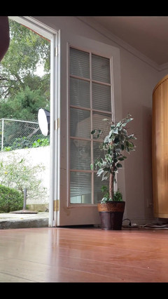 Pearlsage: За лаштунками писяє на підлогу