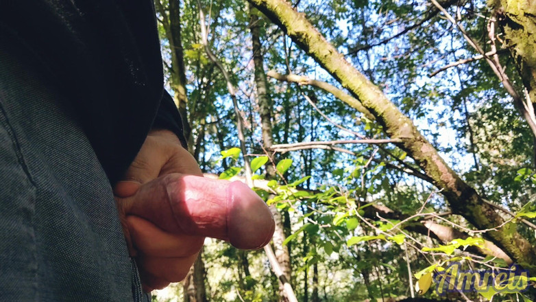 Amreis: La primera paja de otoño en el bosque Hubo poco...