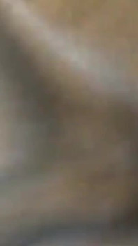 Superfast Doggy Gay Fuck at Night