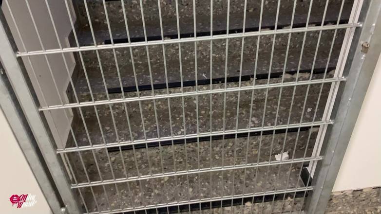 Miley Weasel: Śliczna blond suka zdalnie sterowana w miejscach publicznych !!