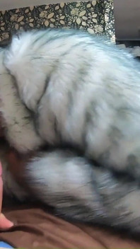 Milfycalla Compilation - Fetish Sex, Blow-jobs and Rough Sex While Wearing Sexy Fur Coats - 5