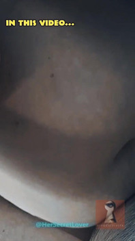 3 Creampies in One Day… and the Last One Ate Them All