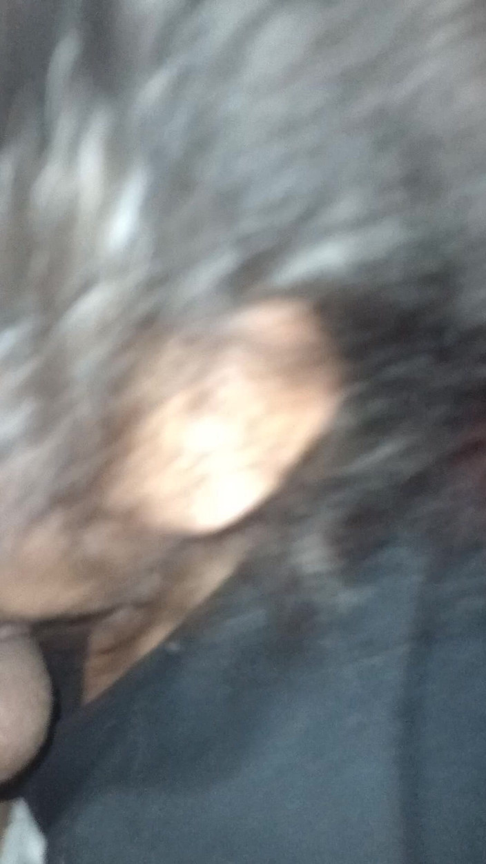 XRAQUELX: Xraquelx Hardcore Headbanging Blow Job