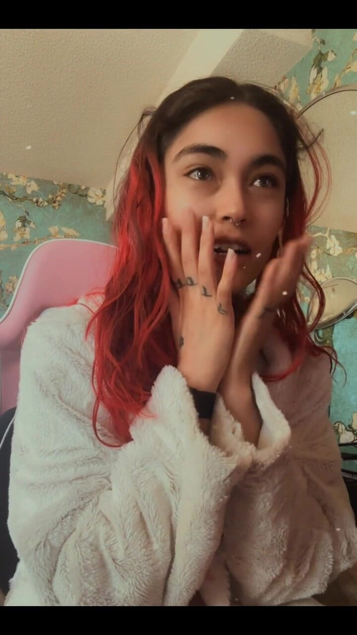 lilRavenFox: स्ट्रीम अपडेट