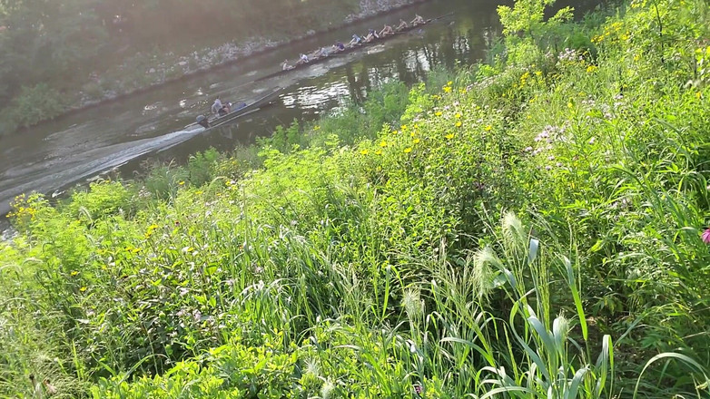 Kennie Jai: Kenniejai Cammina nuda sul fiume a Chicago e viene beccata