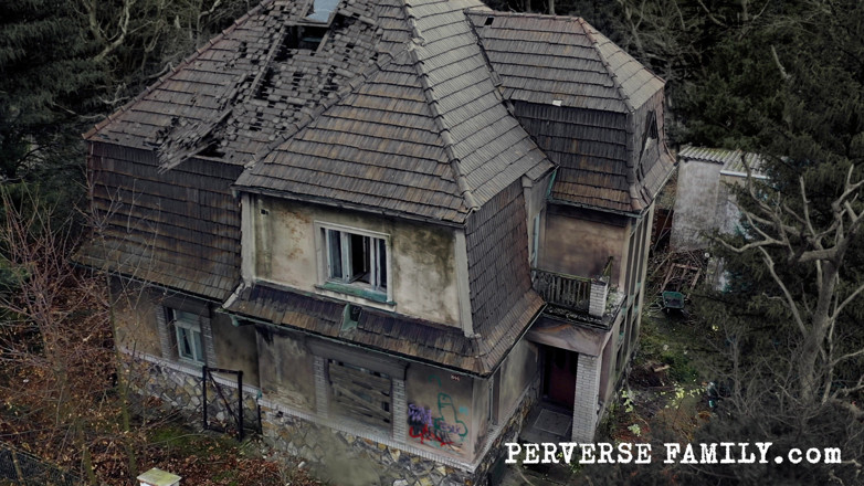 Perverse Family: Perverse Family 33.3 (season 3): BDSM Pro Annu