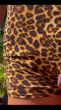 Taking My Kitty for a Walk