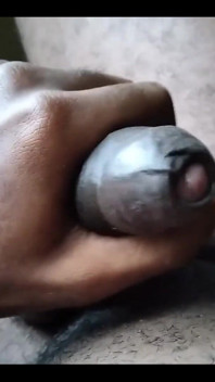 It's Not Hard to Record My Morning Wood!