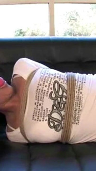 Vixen Hogtied Ballgagged Di Sofa