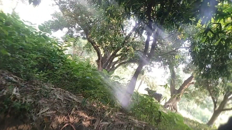 Salonibhabhi: Yang Gay Boy Outdoor Handjob