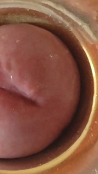 Garoto close-up de glans apertados sem circuncidada animado