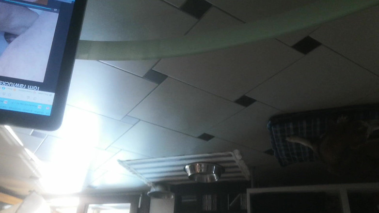 LupoNeroXL: 새아빠의 거대한 자지와 물