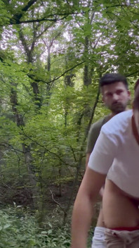 Anal na floresta 7