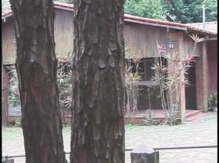 Shemale videos: Gang ban bisessuale nella foresta da crociera