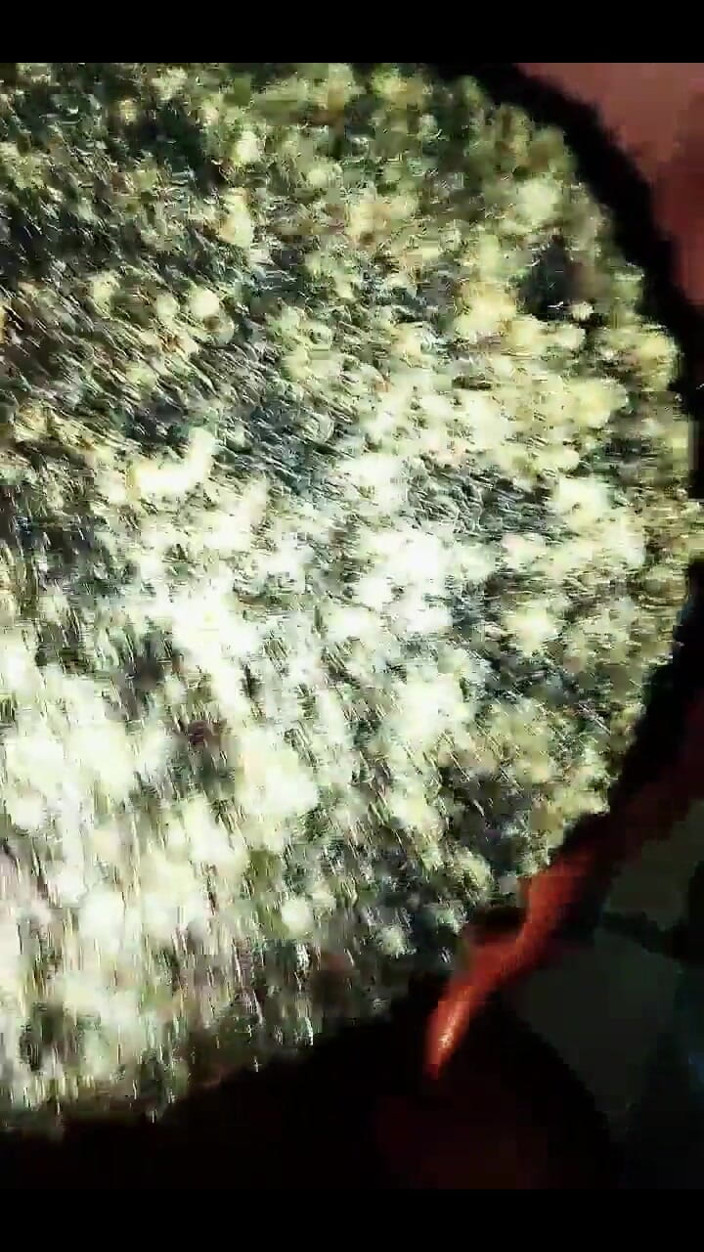 Masckedclub: Sexyrita se koupe, tančí, ukazuje svou pěknou kundičku, prsa bere...