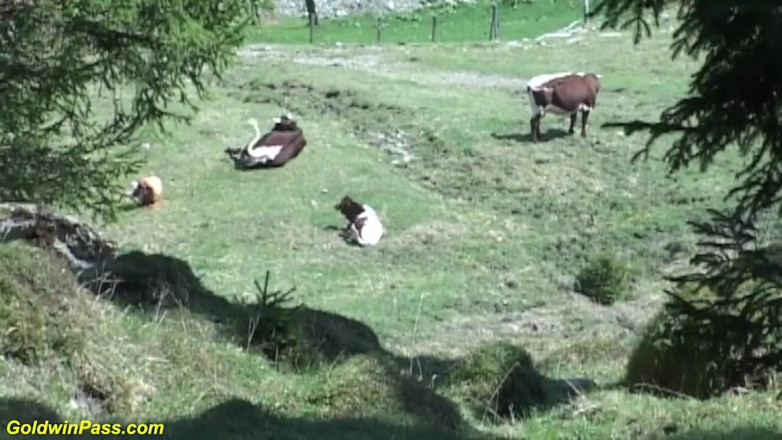 Lederhosen Gangbang: Trio d'oktoberfest en plein air