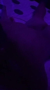 The Buddy Dude Suck My Dick in a Blue Light Room