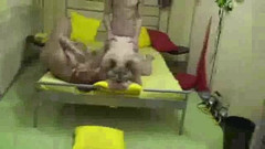 Anna Devot: Annadevot - Tam kouří